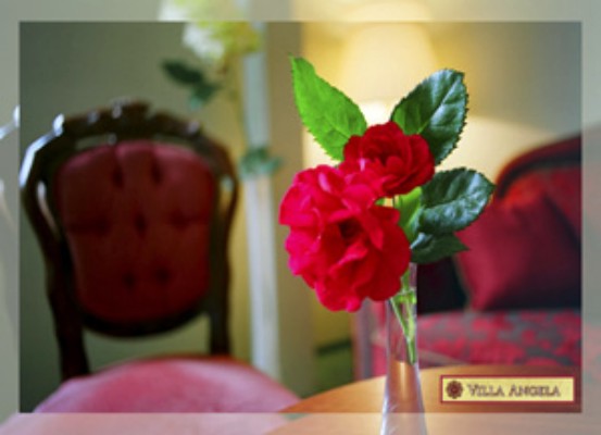 Hotel in Gdansk - Villa ANGELA, Gdansk